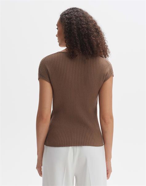 Polinna cocoa