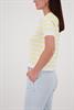 Polo-Pullover mit Streifen pastel yellow ringel