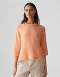 Poria pale orange
