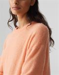 Poria pale orange