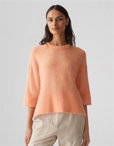 Poria pale orange
