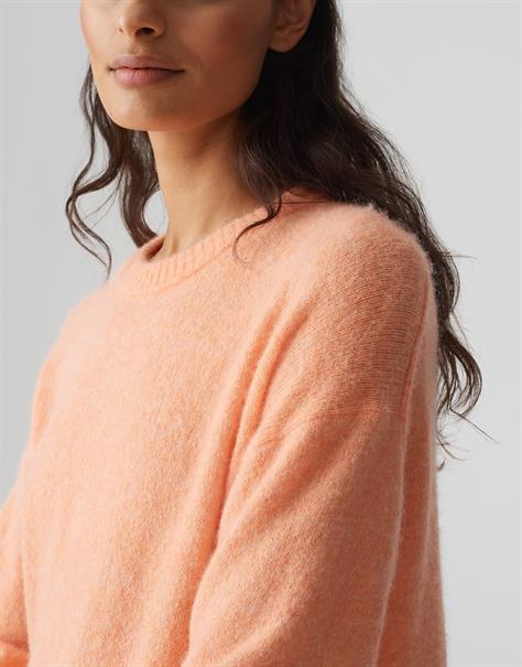 Poria pale orange