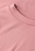 powder pink