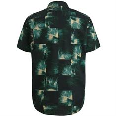 Print Aksel salute