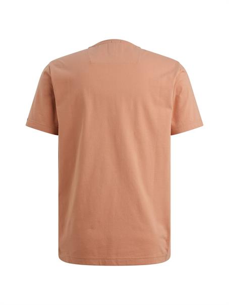 PTSS2604599 rose dawn