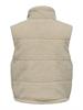 pumice stone