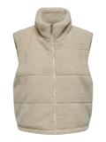 pumice stone
