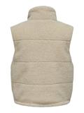 pumice stone