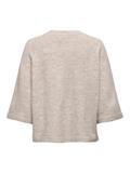 pumice stone