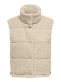 pumice stone
