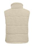 pumice stone