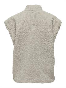 pumice stone