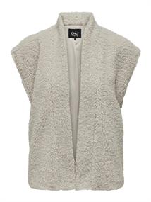 pumice stone