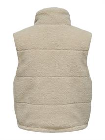 pumice stone