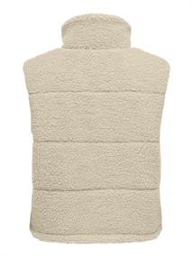 pumice stone