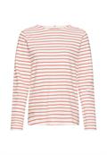 pumpkin stripes
