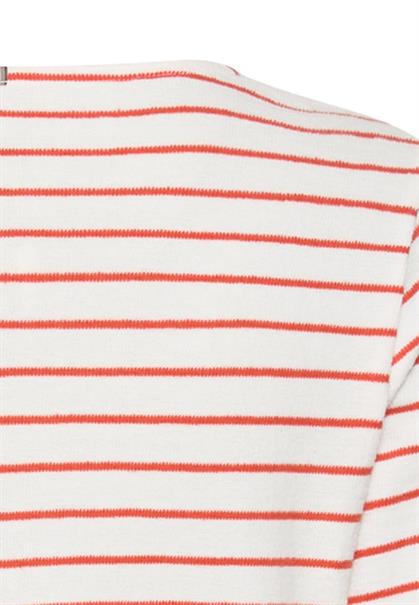 pumpkin stripes