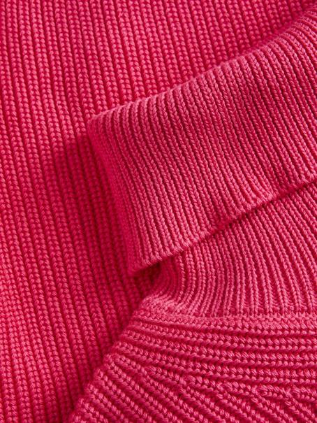 raspberry sorbet