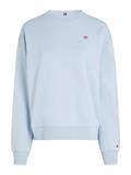 REG CONTRAST FLAG SWEATSHIRT breezy blue