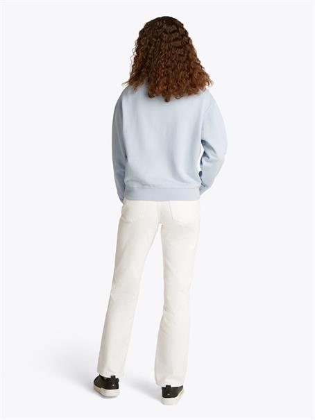 REG CONTRAST FLAG SWEATSHIRT breezy blue