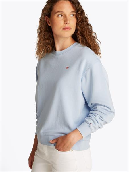 REG CONTRAST FLAG SWEATSHIRT breezy blue