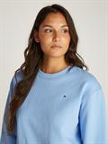 REG FLAG ON CHEST CREW-NK vessel blue