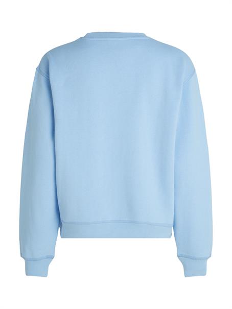 REG FLAG ON CHEST CREW-NK vessel blue