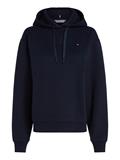 REG FLAG ON CHEST HOODIE desert sky