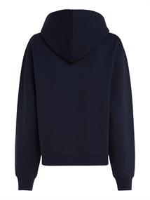REG FLAG ON CHEST HOODIE desert sky