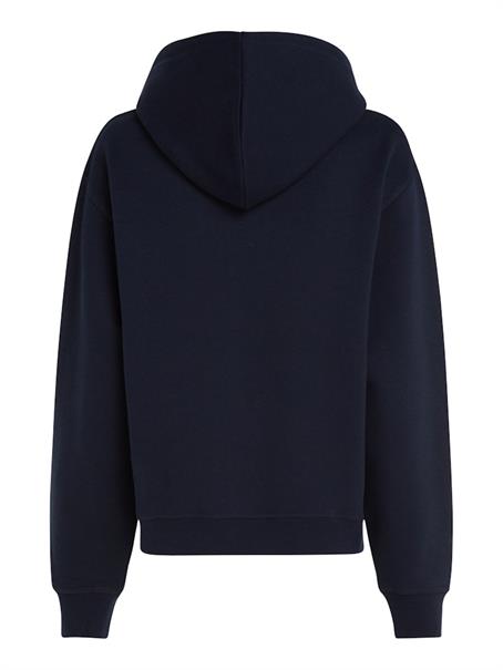 REG FLAG ON CHEST HOODIE desert sky