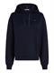 REG FLAG ON CHEST HOODIE desert sky