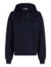 REG FLAG ON CHEST HOODIE desert sky