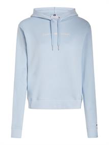 REG FROSTED CORP LOGO HOODIE breezy blue