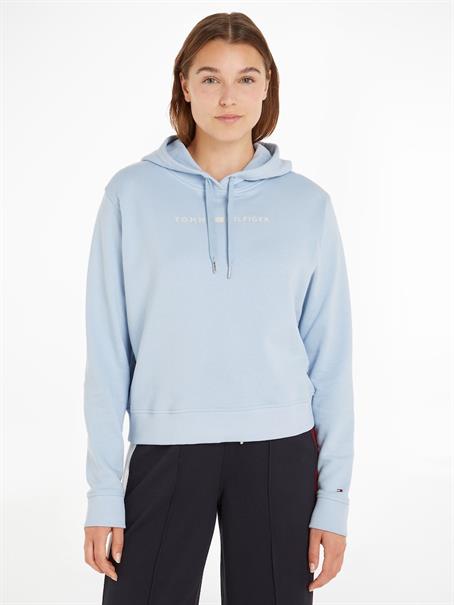 REG FROSTED CORP LOGO HOODIE breezy blue