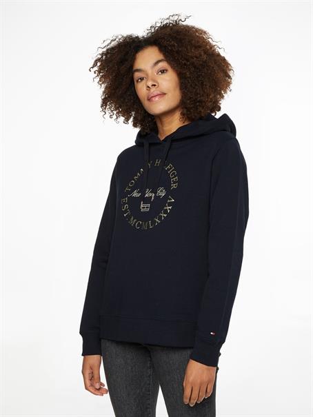 REG METALLIC ROUNDALL HOODIE desert sky