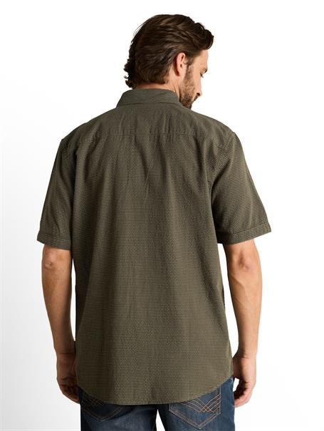 Regular Fit Kurzarmhemd aus Baumwolle deep leaf green dot structure