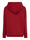 REGULAR SCRIPT HOODIE regatta red