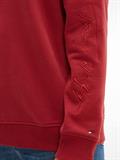 REGULAR SCRIPT HOODIE regatta red