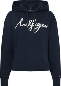 RELAXED HILFIGER SCRIPT HOODIE desert sky