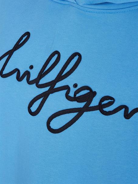 RELAXED HILFIGER SCRIPT HOODIE hydrangea blue