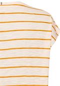 rose stripes