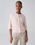 rose tint