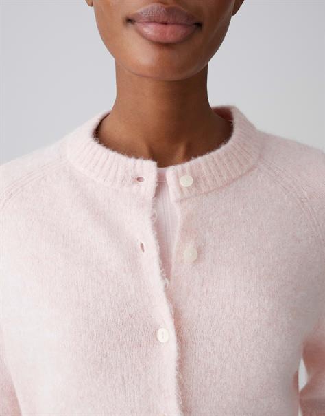 rose tint