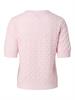 roseate spoonbill