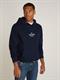 RWB HILFIGER HOODIE desert sky