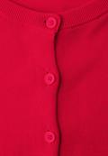 salsa red