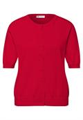 salsa red