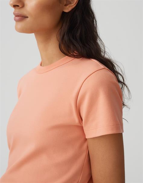 Samun pale orange