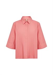 SC-NETTI 118 rapture rose