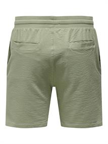 seagrass
